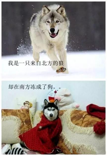微信图片_20181126102829.jpg